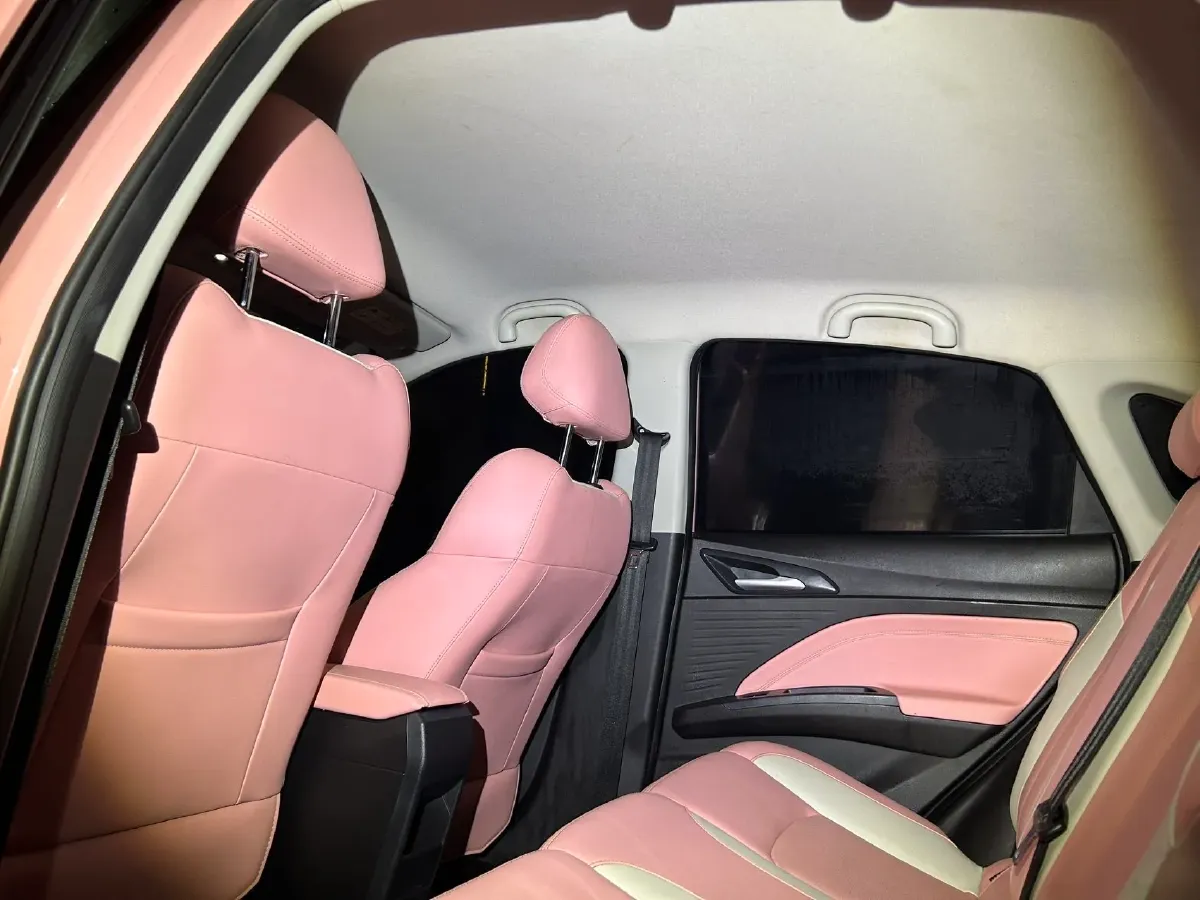 2021 Neta V BEV 31.18KWH,autocango,china used car exporter,china ev exporter,chinese used car exporter,chinese used ev exporter