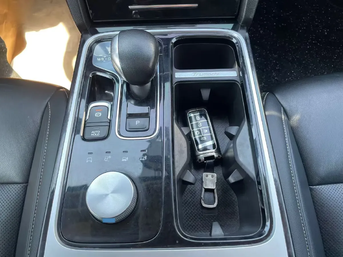 2020 GAC Trumpchi GS8 2.0T 252HP L4 6AT,autocango,china used car exporter,china ev exporter,chinese used car exporter,chinese used ev exporter