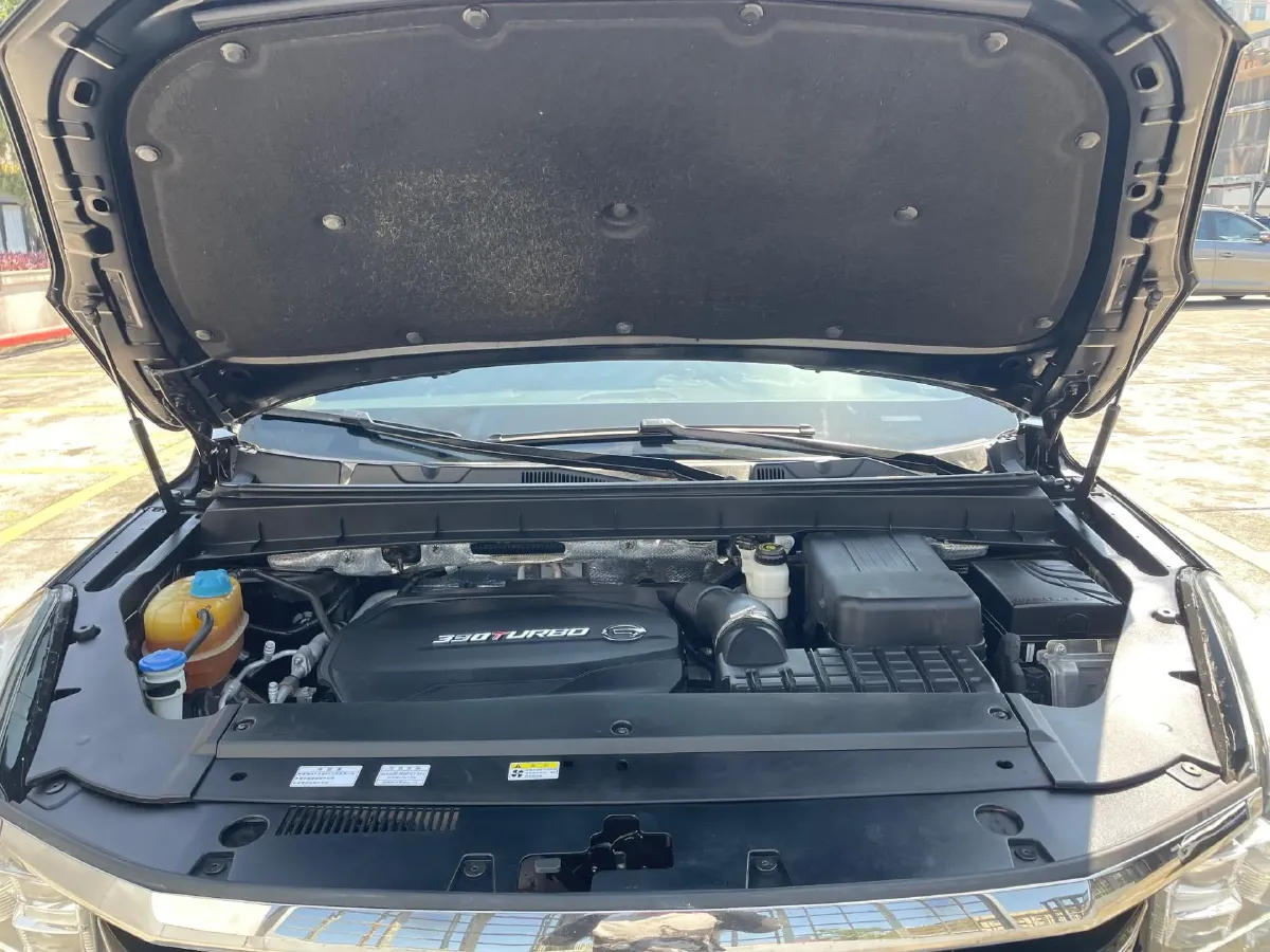 2020 GAC Trumpchi GS8 2.0T 252HP L4 6AT,autocango,china used car exporter,china ev exporter,chinese used car exporter,chinese used ev exporter