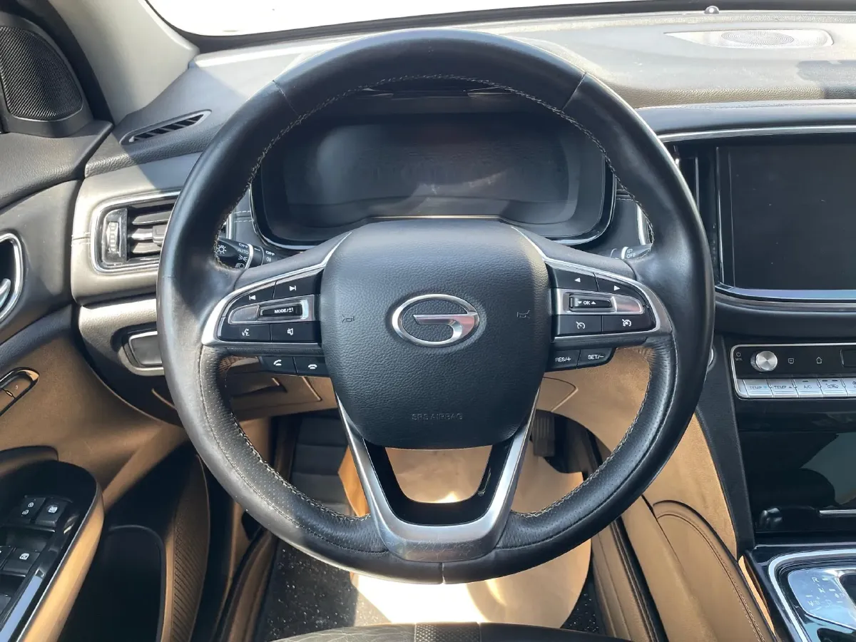 2020 GAC Trumpchi GS8 2.0T 252HP L4 6AT,autocango,china used car exporter,china ev exporter,chinese used car exporter,chinese used ev exporter