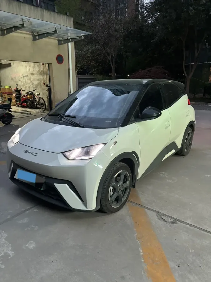 2023 BYD Seagull BEV 38.88KWH,autocango,china used car exporter,china ev exporter,chinese used car exporter,chinese used ev exporter