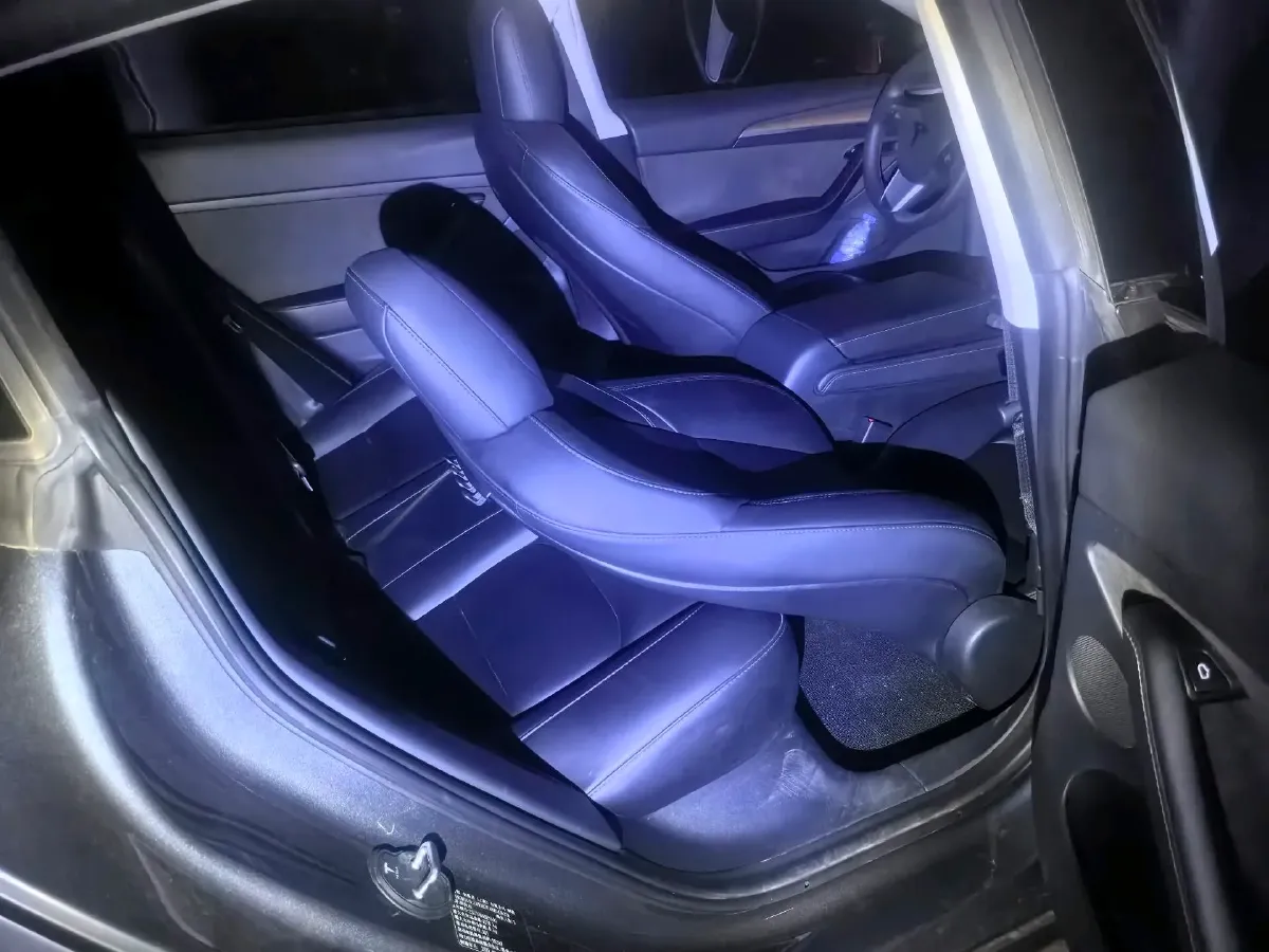 2021 Tesla Model 3 BEV 55KWH,autocango,china used car exporter,china ev exporter,chinese used car exporter,chinese used ev exporter