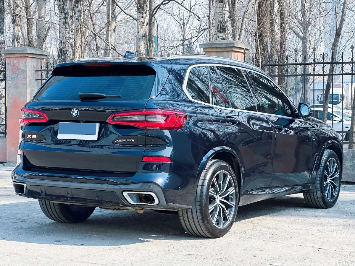 2020 BMW X5 2.0T 265HP L4 8AT,autocango,china used car exporter,china ev exporter,chinese used car exporter,chinese used ev exporter