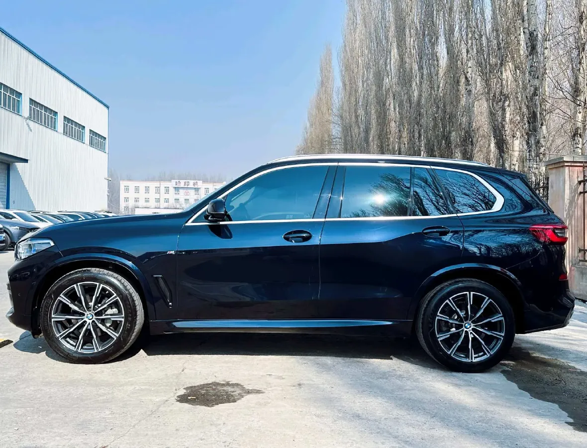 2020 BMW X5 2.0T 265HP L4 8AT,autocango,china used car exporter,china ev exporter,chinese used car exporter,chinese used ev exporter