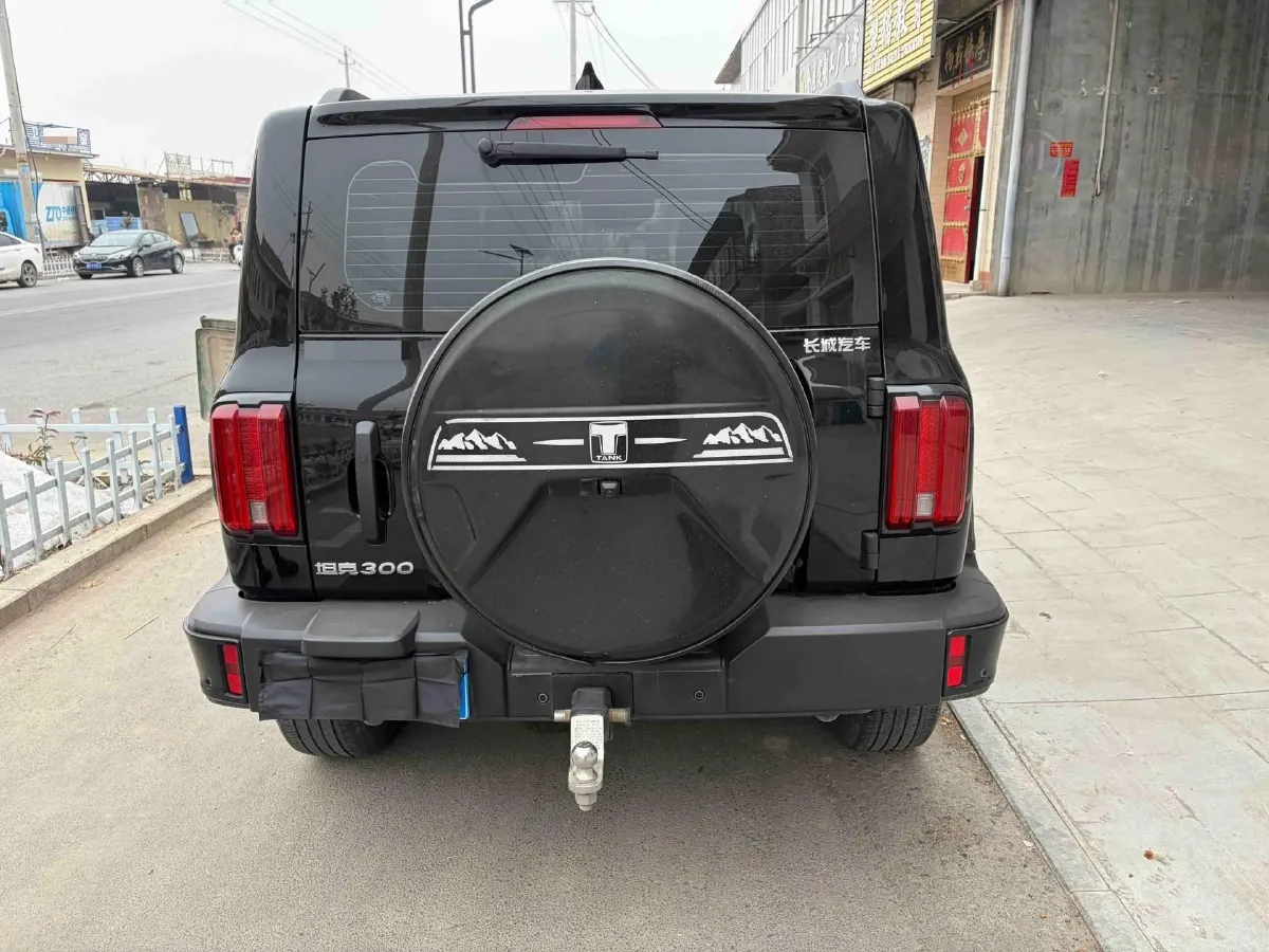 2024 Tank 300 2.0T 227HP L4 8AT,autocango,china used car exporter,china ev exporter,chinese used car exporter,chinese used ev exporter