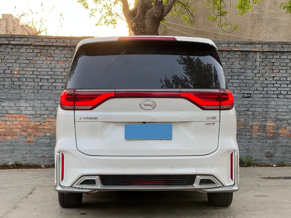 2021 GAC Trumpchi M8 2.0T 252HP L4 8AT,autocango,china used car exporter,china ev exporter,chinese used car exporter,chinese used ev exporter