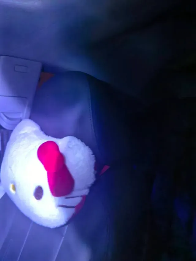 2021 Audi A5 2.0T 204HP L4 7DCT,autocango,china used car exporter,china ev exporter,chinese used car exporter,chinese used ev exporter