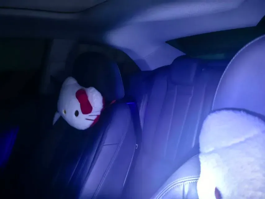 2021 Audi A5 2.0T 204HP L4 7DCT,autocango,china used car exporter,china ev exporter,chinese used car exporter,chinese used ev exporter