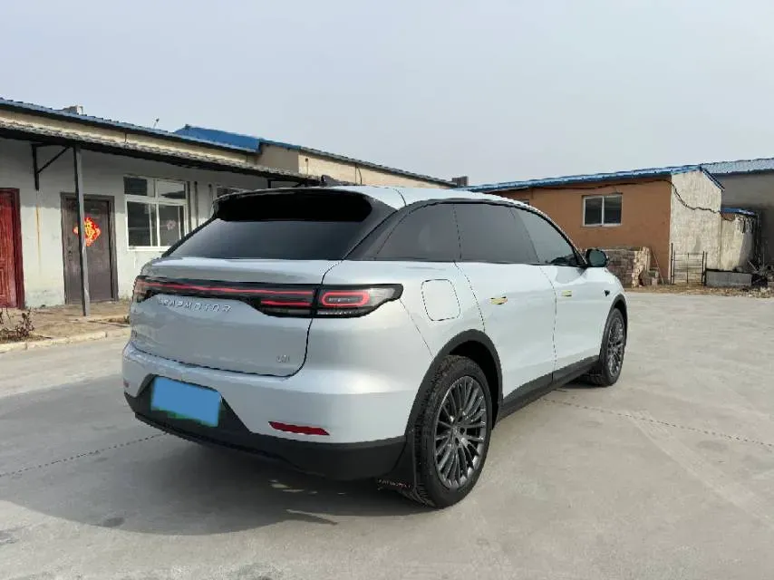 2023 Leapmotor C11 Range Extended 131HP REEV 30.1KWH,autocango,china used car exporter,china ev exporter,chinese used car exporter,chinese used ev exporter