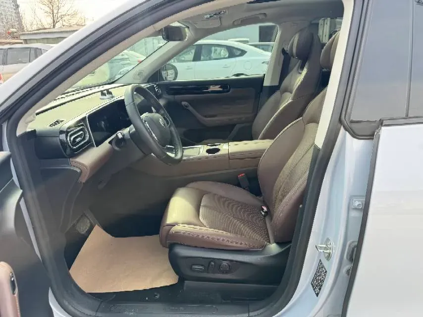 2023 Leapmotor C11 Range Extended 131HP REEV 30.1KWH,autocango,china used car exporter,china ev exporter,chinese used car exporter,chinese used ev exporter