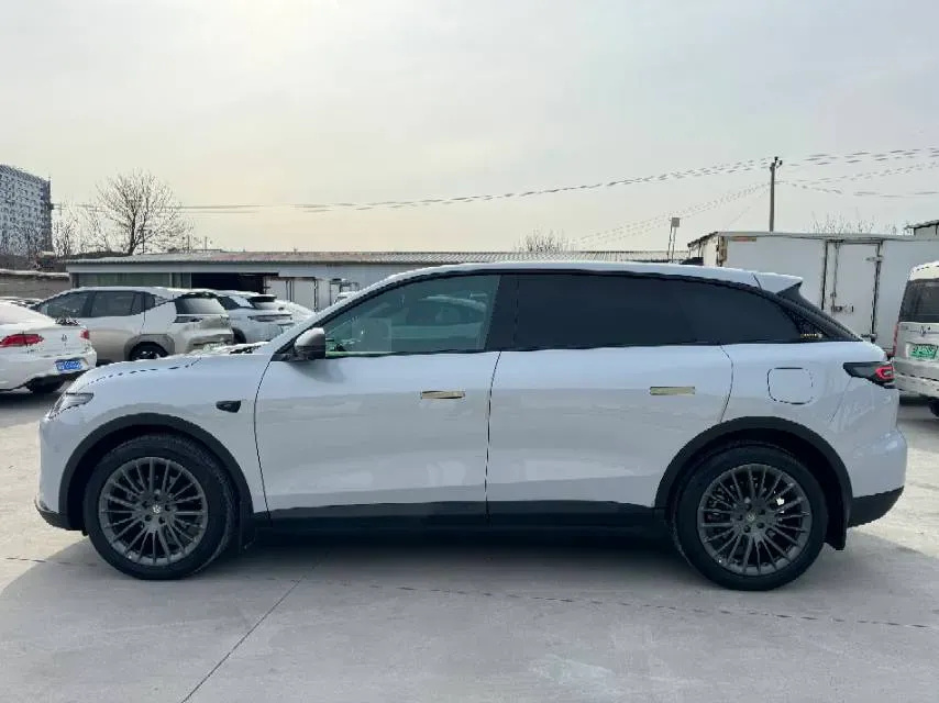 2023 Leapmotor C11 Range Extended 131HP REEV 30.1KWH,autocango,china used car exporter,china ev exporter,chinese used car exporter,chinese used ev exporter