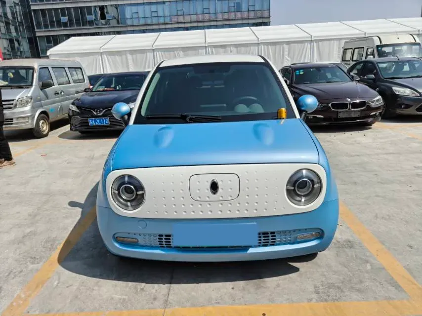 2021 Ora BlackCat BEV 33KWH,autocango,china used car exporter,china ev exporter,chinese used car exporter,chinese used ev exporter