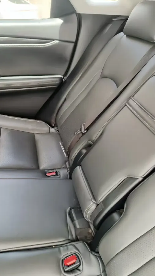 2020 Lexus RX 2.0T 238HP L4 6AT,autocango,china used car exporter,china ev exporter,chinese used car exporter,chinese used ev exporter