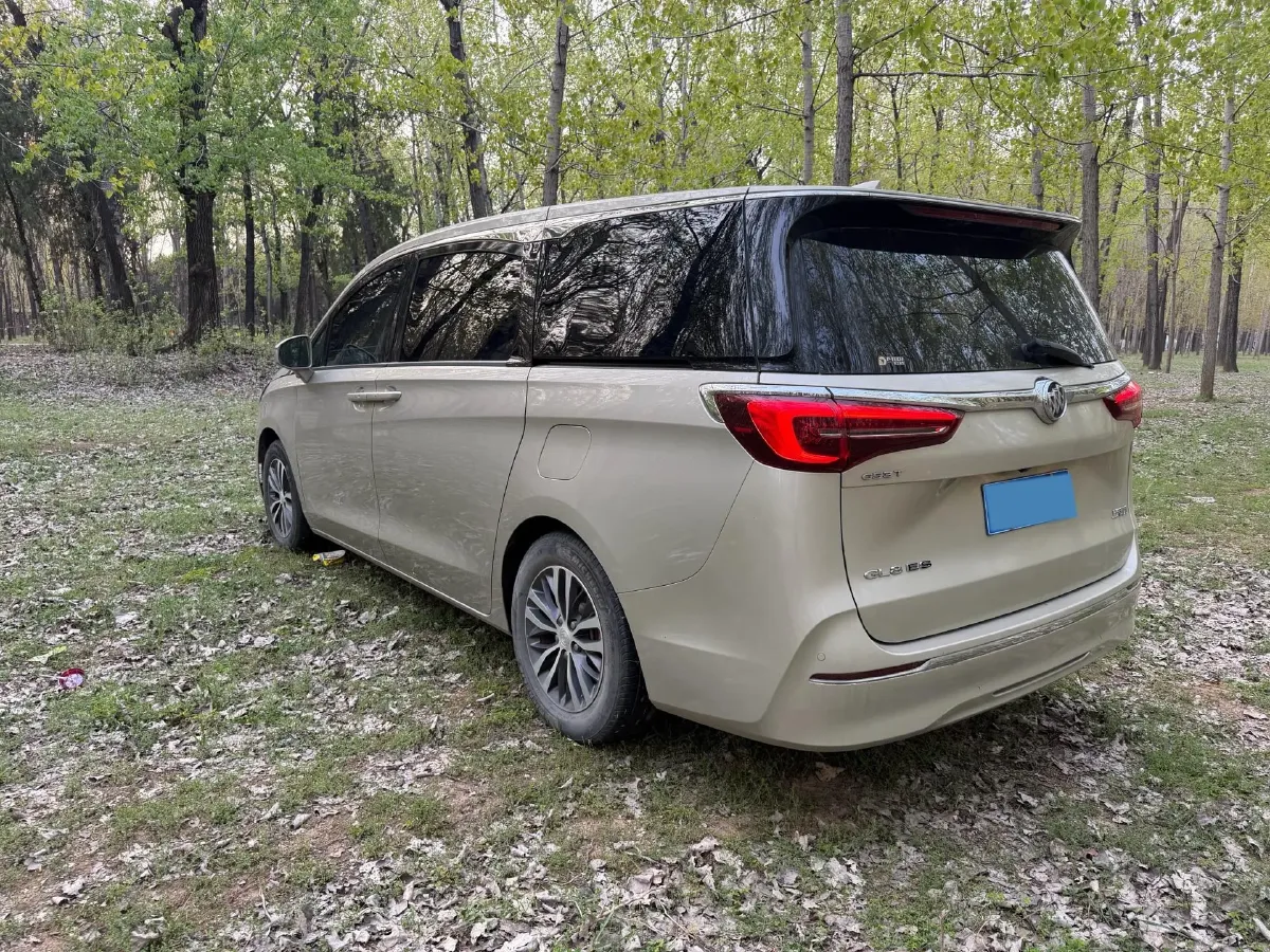 2020 Buick GL8 2.0T 237HP L4 9AT,autocango,china used car exporter,china ev exporter,chinese used car exporter,chinese used ev exporter