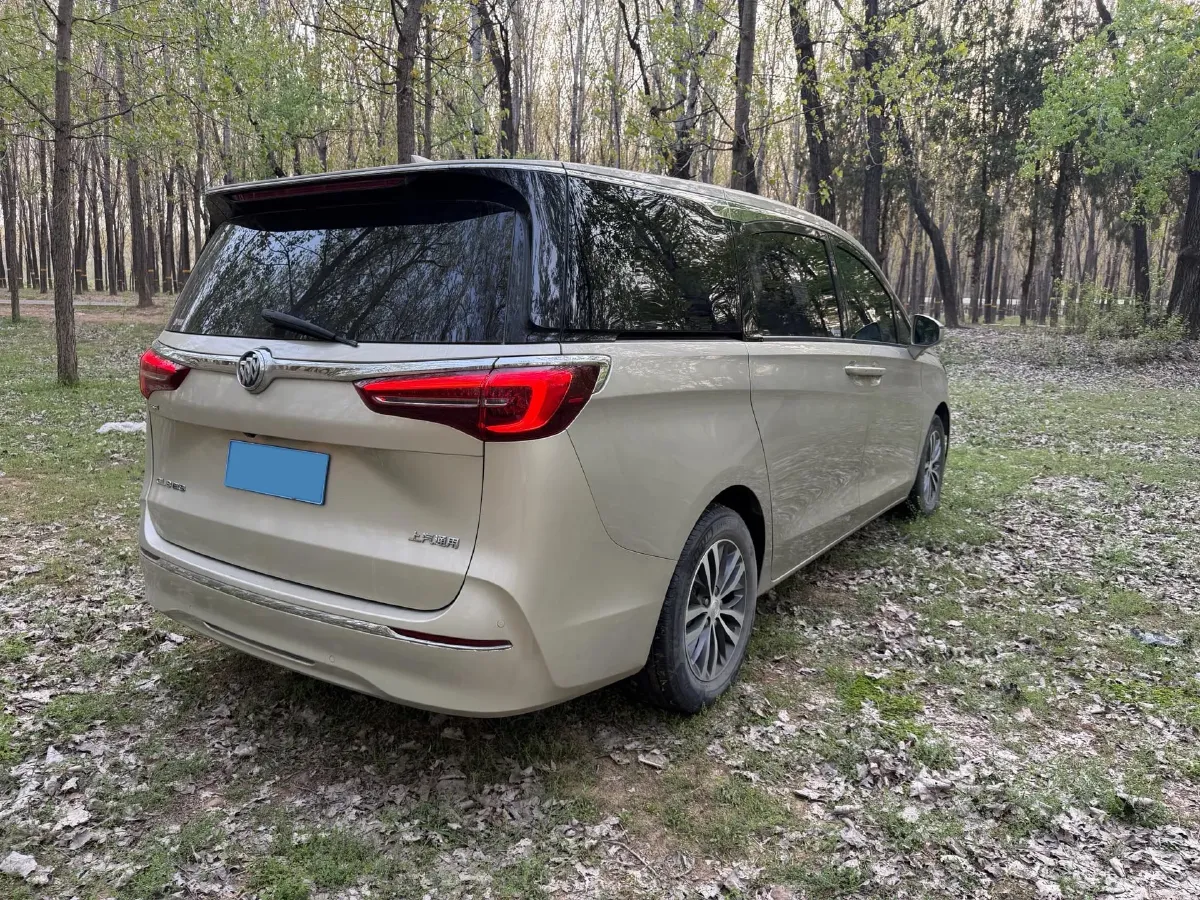 2020 Buick GL8 2.0T 237HP L4 9AT,autocango,china used car exporter,china ev exporter,chinese used car exporter,chinese used ev exporter