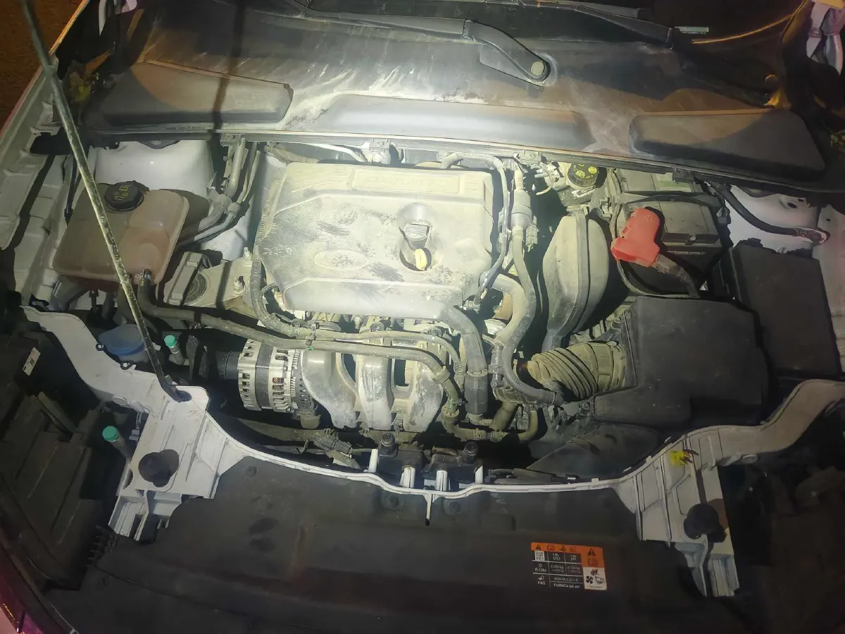 2021 Ford Escort 1.5L 122HP L3 6AT,autocango,china used car exporter,china ev exporter,chinese used car exporter,chinese used ev exporter