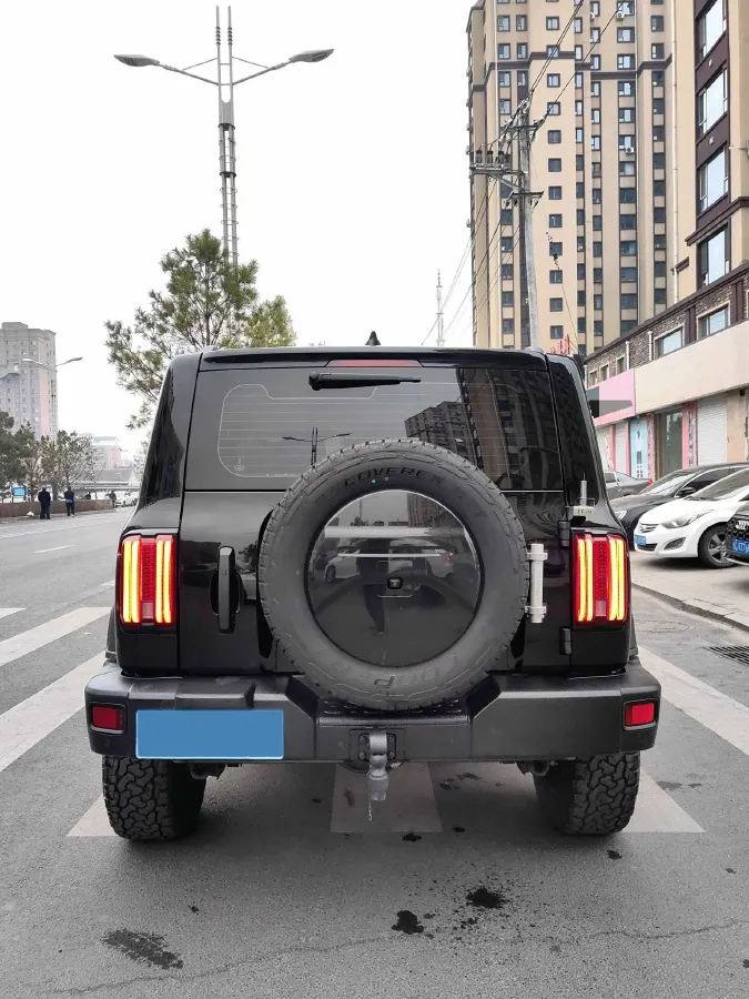 2021 Tank 300 2.0T 227HP L4 8AT,autocango,china used car exporter,china ev exporter,chinese used car exporter,chinese used ev exporter