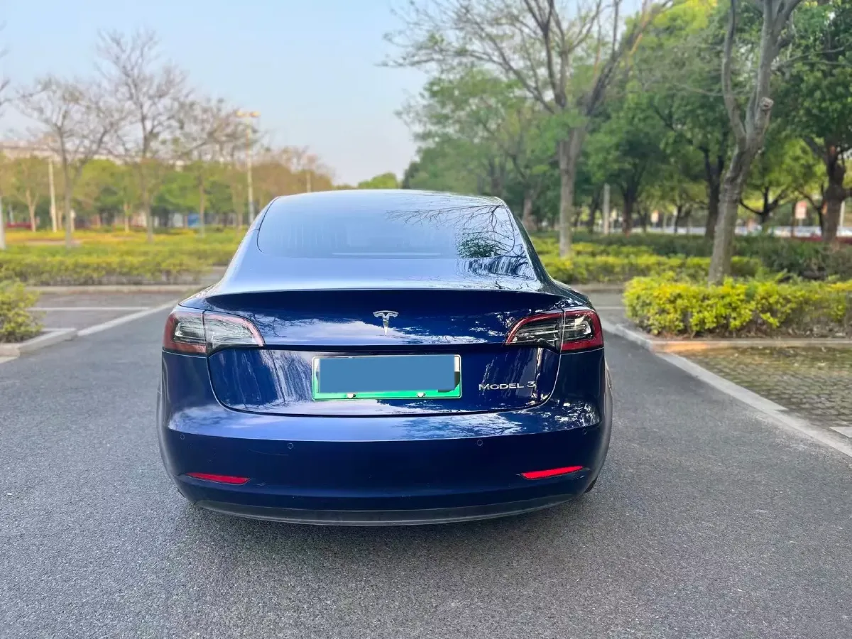 2020 Tesla Model 3 BEV 52KWH,autocango,china used car exporter,china ev exporter,chinese used car exporter,chinese used ev exporter