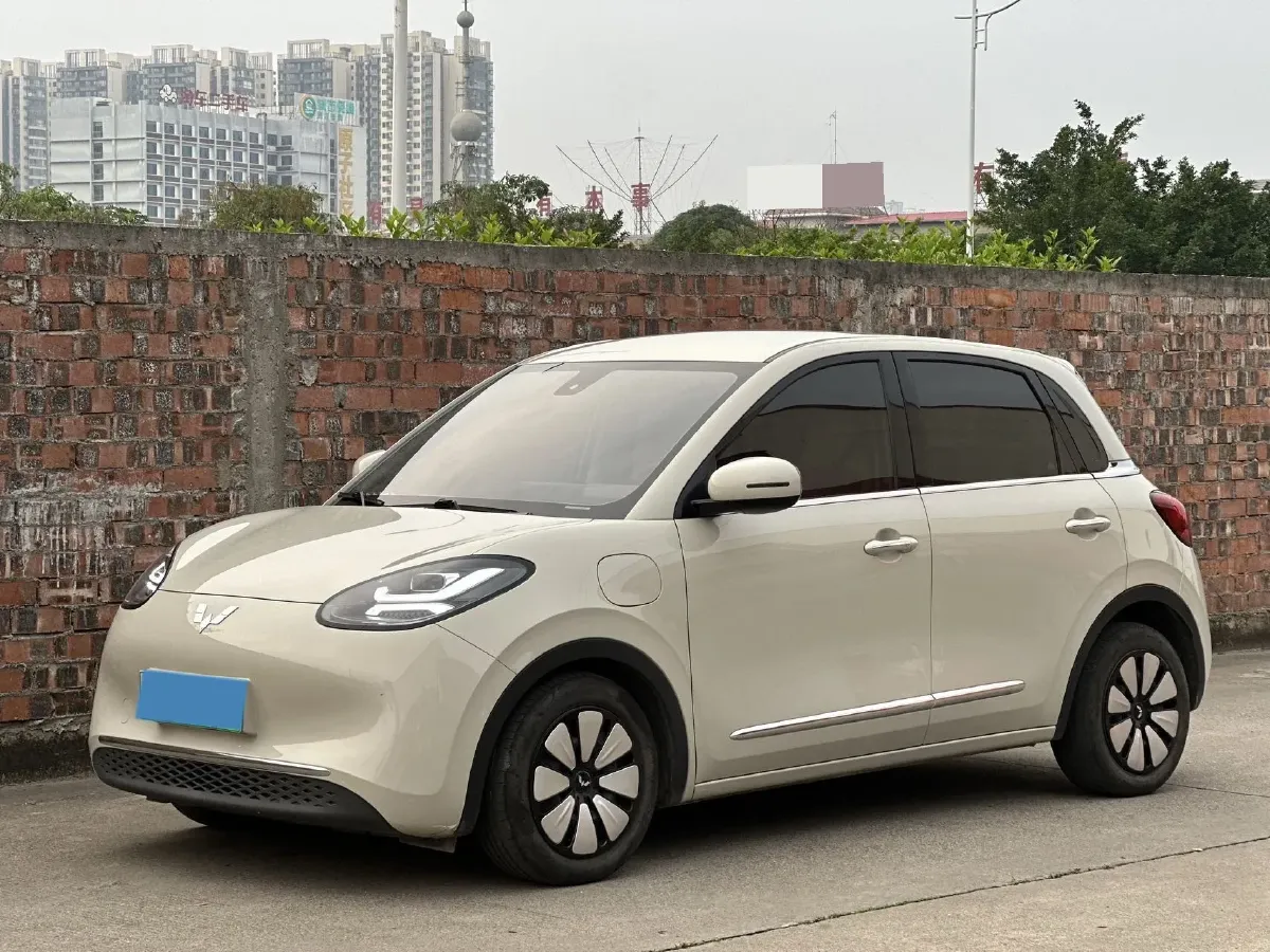 2023 WuLing BinGuo BEV 31.9KWH,autocango,china used car exporter,china ev exporter,chinese used car exporter,chinese used ev exporter