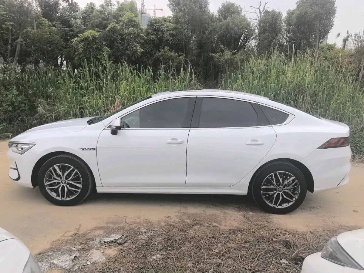 2024 BYD Qin Plus BEV 48KWH,autocango,china used car exporter,china ev exporter,chinese used car exporter,chinese used ev exporter