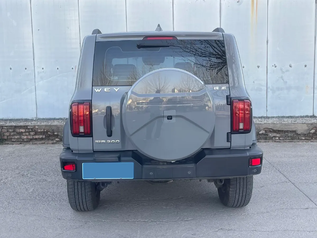 2021 Tank 300 2.0T 227HP L4 8AT,autocango,china used car exporter,china ev exporter,chinese used car exporter,chinese used ev exporter