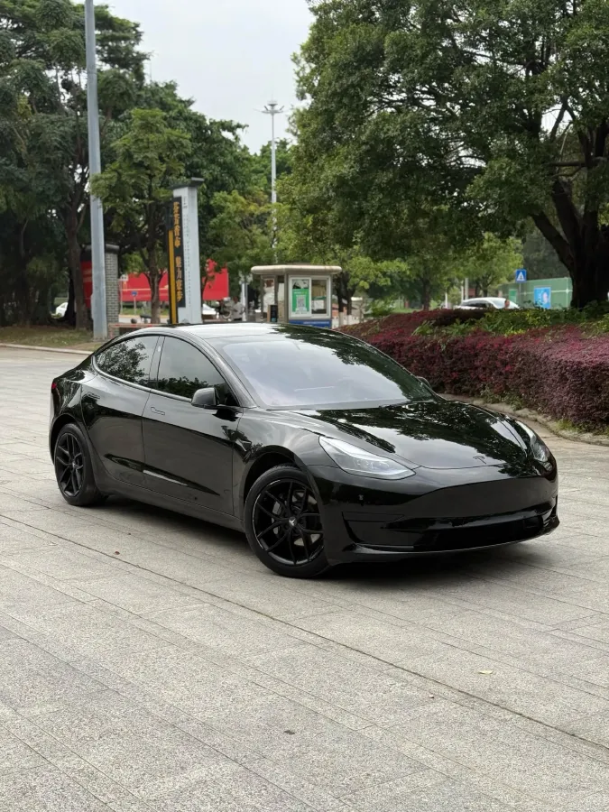 2021 Tesla Model 3 BEV 55KWH,autocango,china used car exporter,china ev exporter,chinese used car exporter,chinese used ev exporter