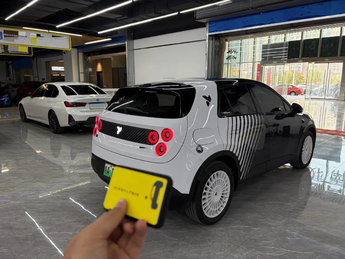 2025 Firefly Firefly BEV,autocango,china used car exporter,china ev exporter,chinese used car exporter,chinese used ev exporter