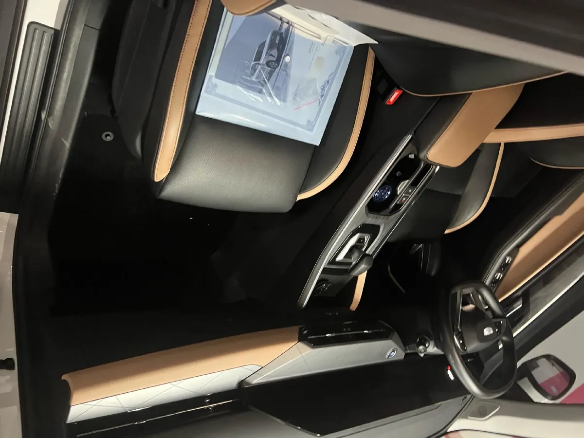 2024 Geely OkavangoPRO 1.5T 181HP L4 7DCT,autocango,china used car exporter,china ev exporter,chinese used car exporter,chinese used ev exporter