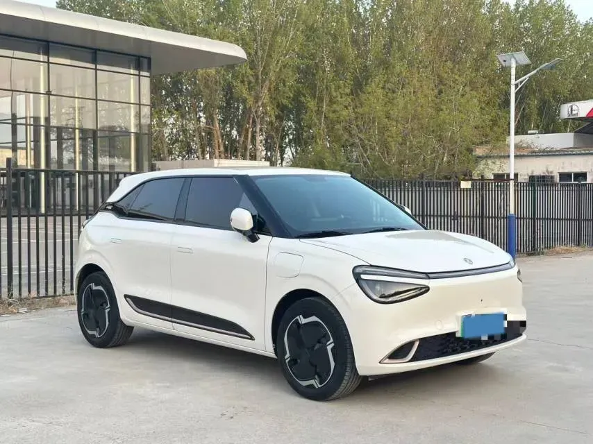 2024 DongFeng Nammi 01 BEV 31.45KWH,autocango,china used car exporter,china ev exporter,chinese used car exporter,chinese used ev exporter