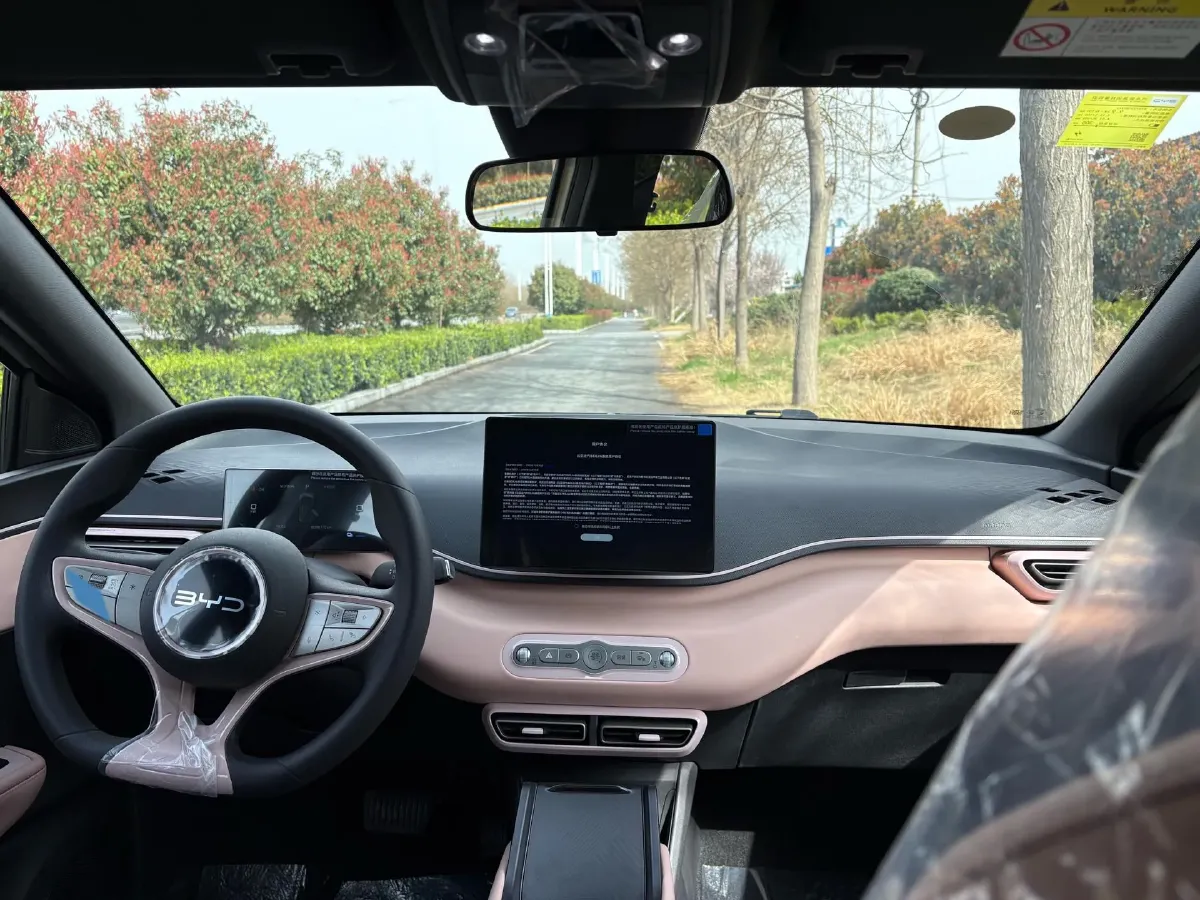 2025 BYD Seagull BEV 30.08KWH,autocango,china used car exporter,china ev exporter,chinese used car exporter,chinese used ev exporter