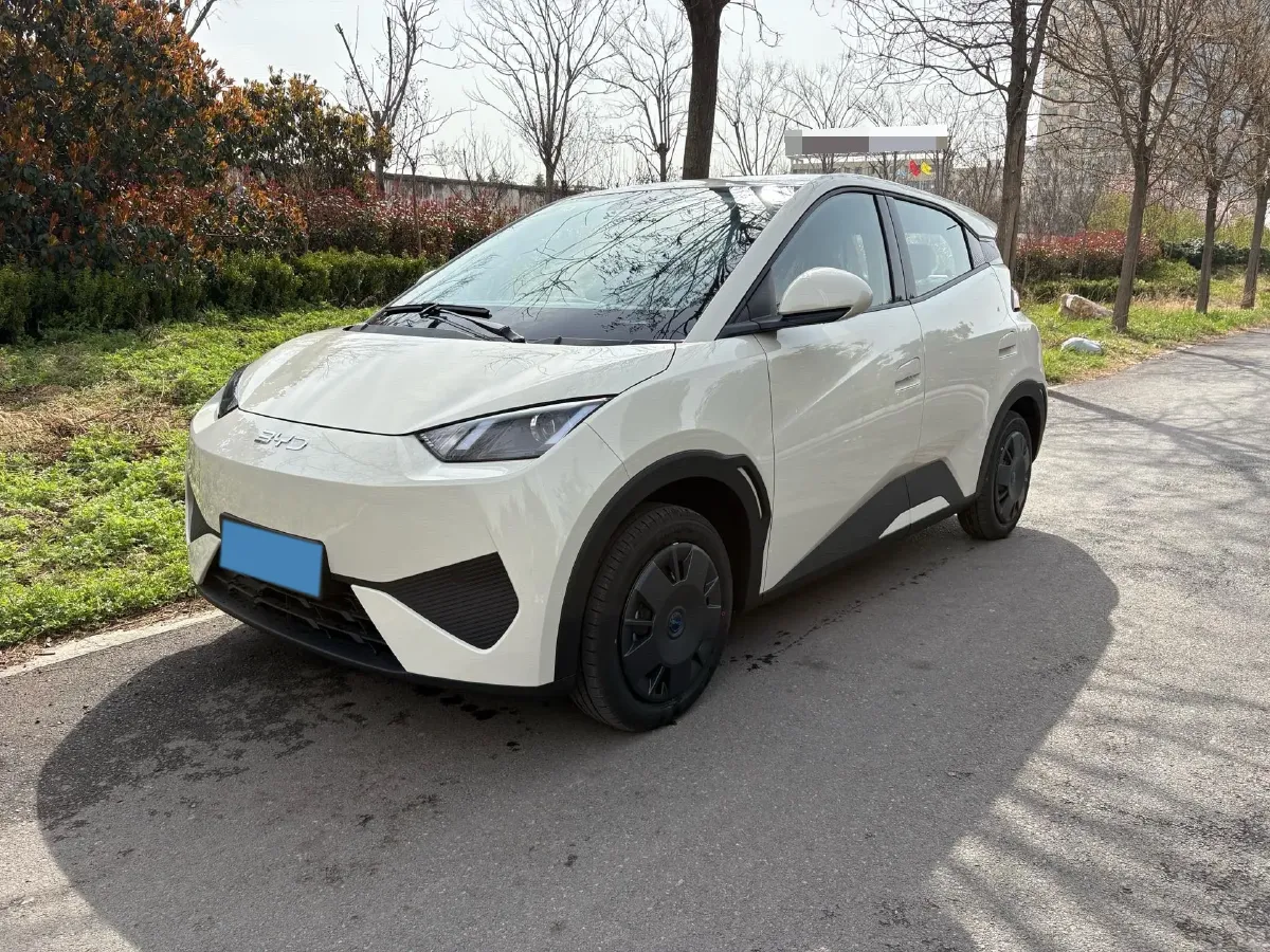 2025 BYD Seagull BEV 30.08KWH,autocango,china used car exporter,china ev exporter,chinese used car exporter,chinese used ev exporter