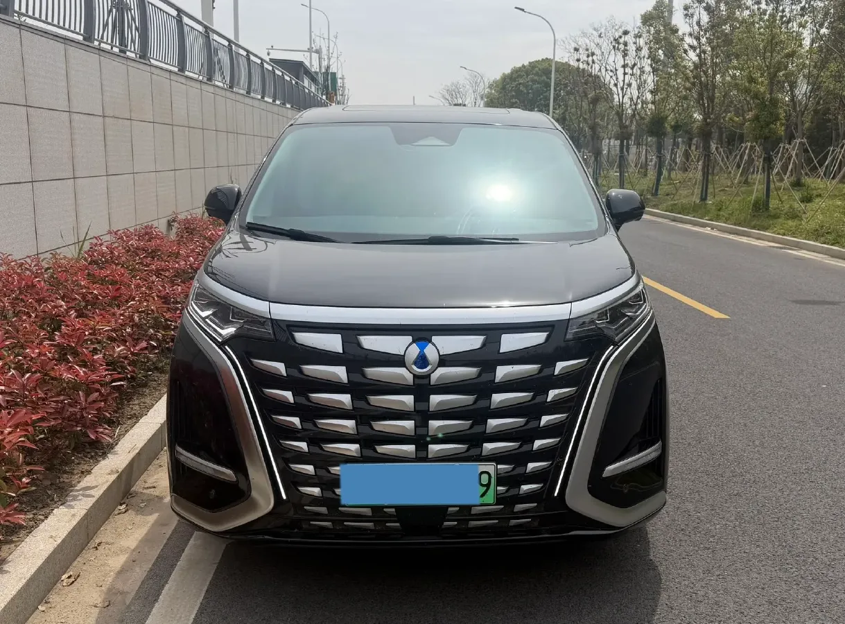2024 Denza D9 1.5T 139HP L4 E-CVT PHEV 40KWH,autocango,china used car exporter,china ev exporter,chinese used car exporter,chinese used ev exporter