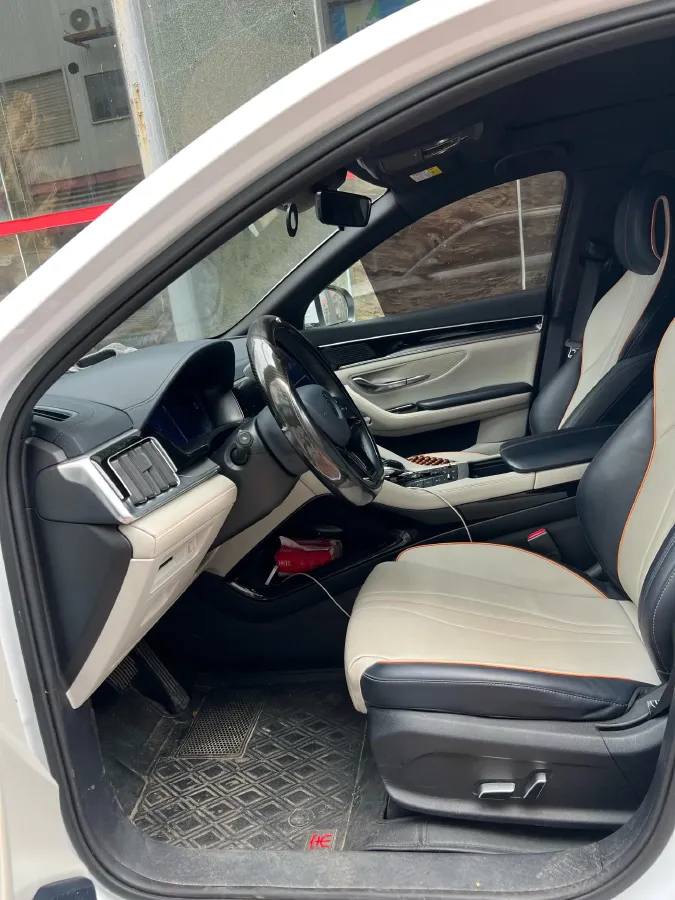 2021 BYD Qin BEV 53.56KWH,autocango,china used car exporter,china ev exporter,chinese used car exporter,chinese used ev exporter