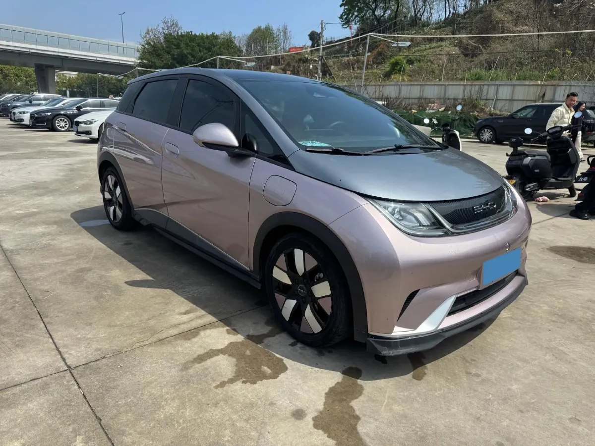 2021 BYD e2 BEV 43.2KWH,autocango,china used car exporter,china ev exporter,chinese used car exporter,chinese used ev exporter
