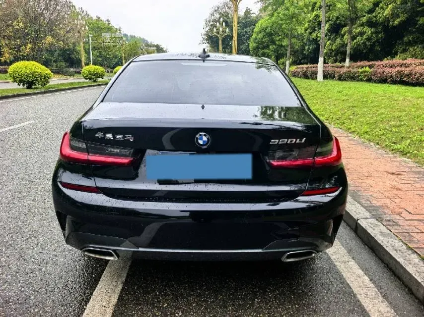 2020 BMW 3 Series 2.0T 156HP L4 8AT,autocango,china used car exporter,china ev exporter,chinese used car exporter,chinese used ev exporter