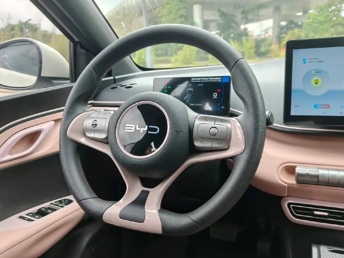 2025 BYD Seagull BEV 30.08KWH,autocango,china used car exporter,china ev exporter,chinese used car exporter,chinese used ev exporter