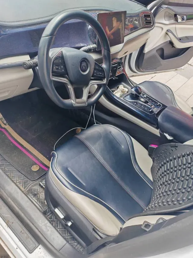 2021 DongFeng FuKang e Elysee BEV 38.4KWH,autocango,china used car exporter,china ev exporter,chinese used car exporter,chinese used ev exporter