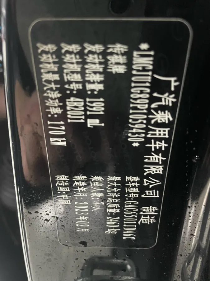 2022 GAC Trumpchi GS8 2.0T 252HP L4 8AT,autocango,china used car exporter,china ev exporter,chinese used car exporter,chinese used ev exporter