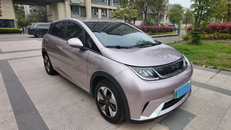 2024 BYD Dolphin BEV 44.928KWH,autocango,china used car exporter,china ev exporter,chinese used car exporter,chinese used ev exporter
