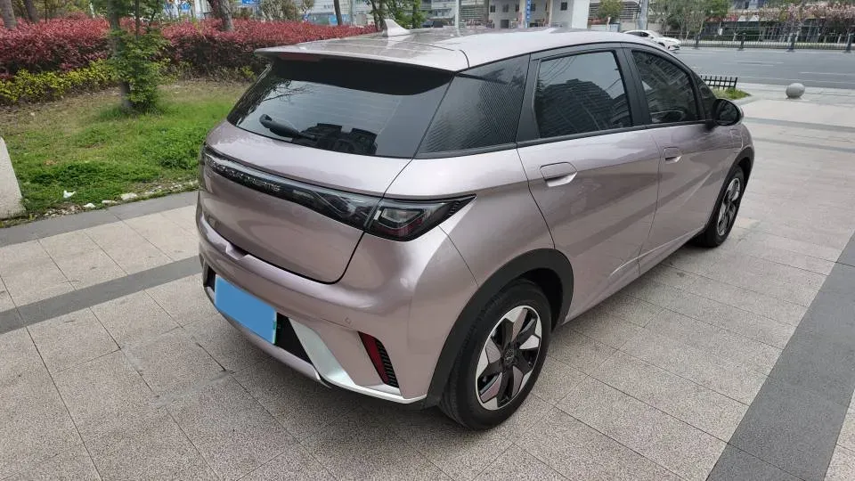 2024 BYD Dolphin BEV 44.928KWH,autocango,china used car exporter,china ev exporter,chinese used car exporter,chinese used ev exporter