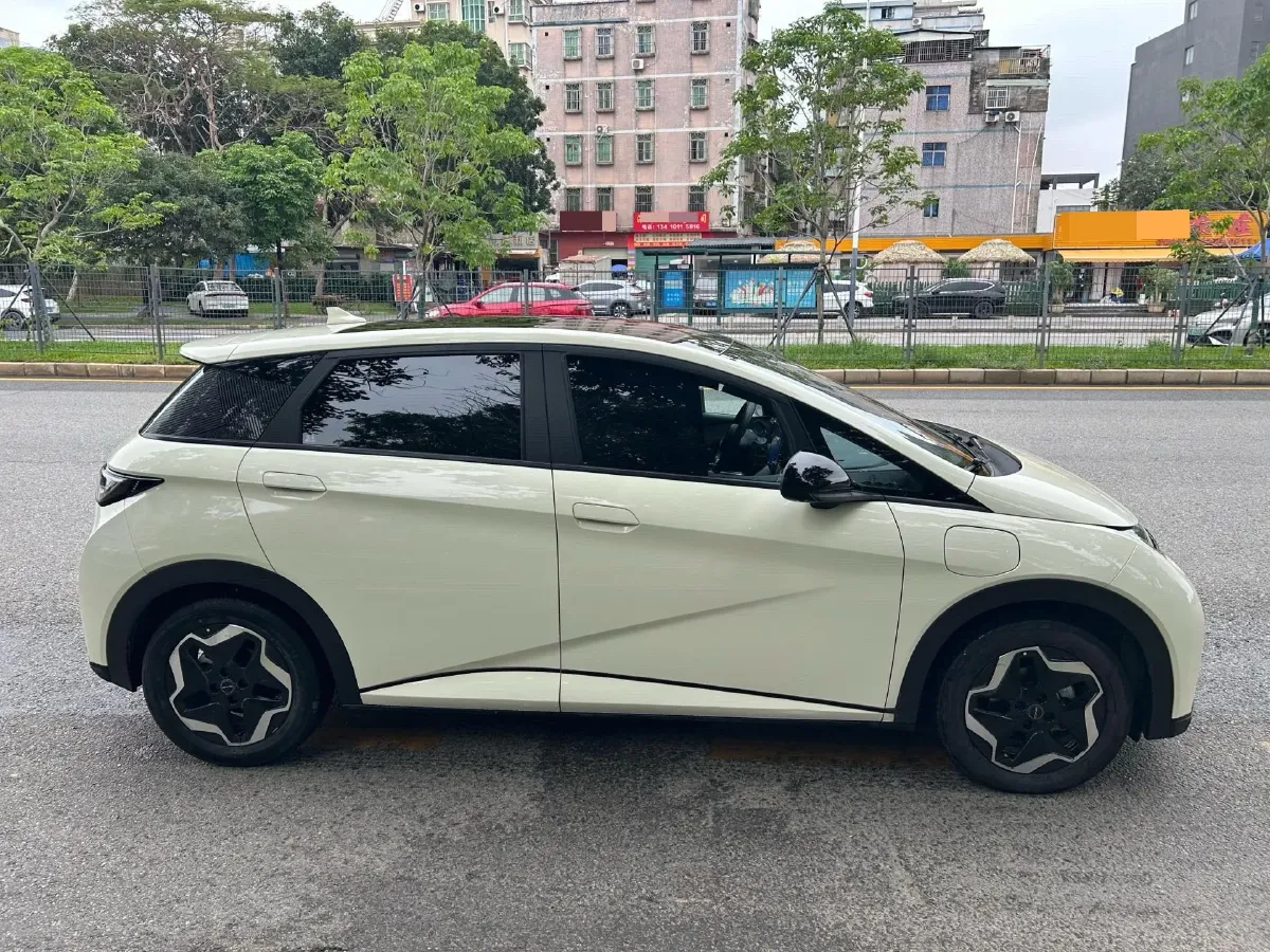 2021 BYD Yuan Pro BEV 50.1KWH,autocango,china used car exporter,china ev exporter,chinese used car exporter,chinese used ev exporter