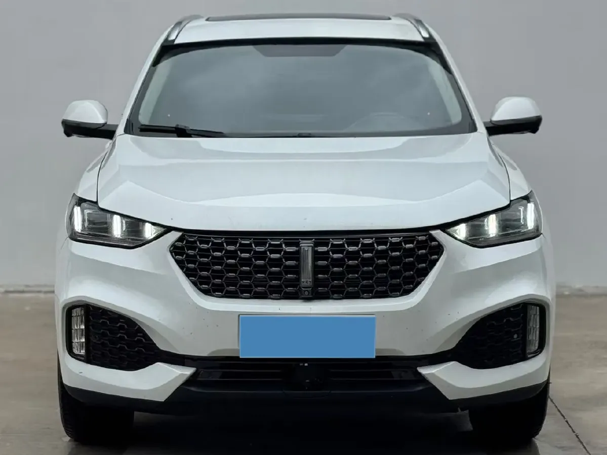 2021 WEY VV6 2.0T 227HP L4 7DCT,autocango,china used car exporter,china ev exporter,chinese used car exporter,chinese used ev exporter