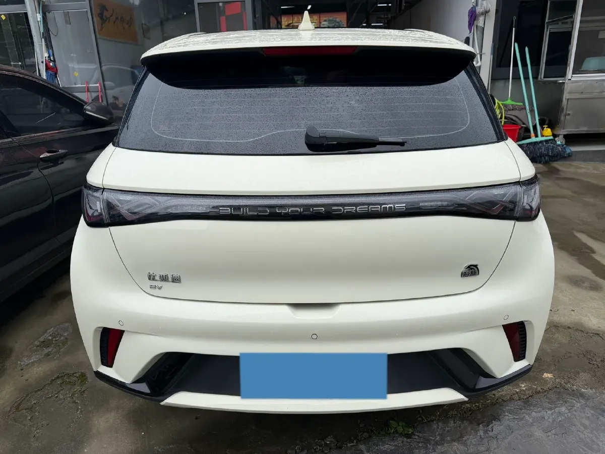 2023 BYD Dolphin BEV 44.928KWH,autocango,china used car exporter,china ev exporter,chinese used car exporter,chinese used ev exporter