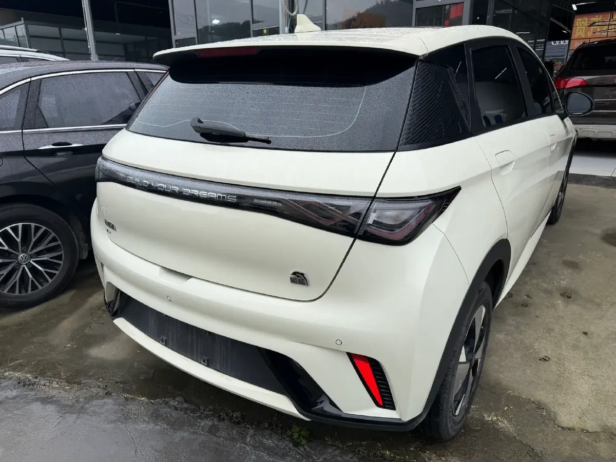 2023 BYD Dolphin BEV 44.928KWH,autocango,china used car exporter,china ev exporter,chinese used car exporter,chinese used ev exporter