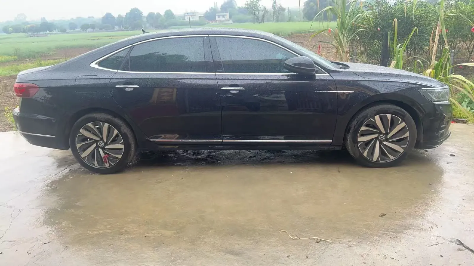 2025 Volkswagen Passat 2.0T 220HP L4 7DCT,autocango,china used car exporter,china ev exporter,chinese used car exporter,chinese used ev exporter