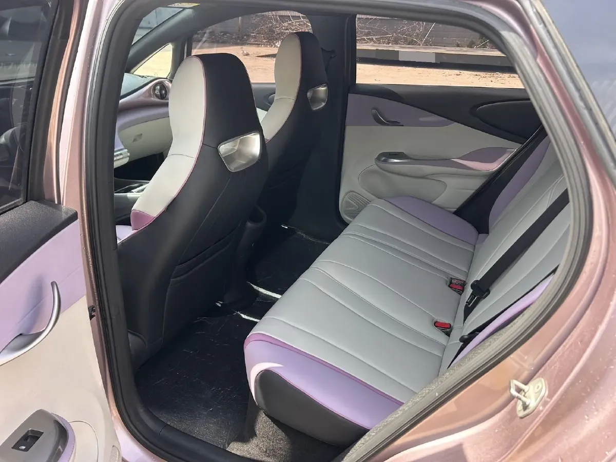 2023 BYD Dolphin BEV 44.928KWH,autocango,china used car exporter,china ev exporter,chinese used car exporter,chinese used ev exporter