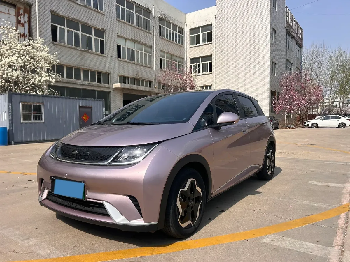 2023 BYD Dolphin BEV 44.928KWH,autocango,china used car exporter,china ev exporter,chinese used car exporter,chinese used ev exporter