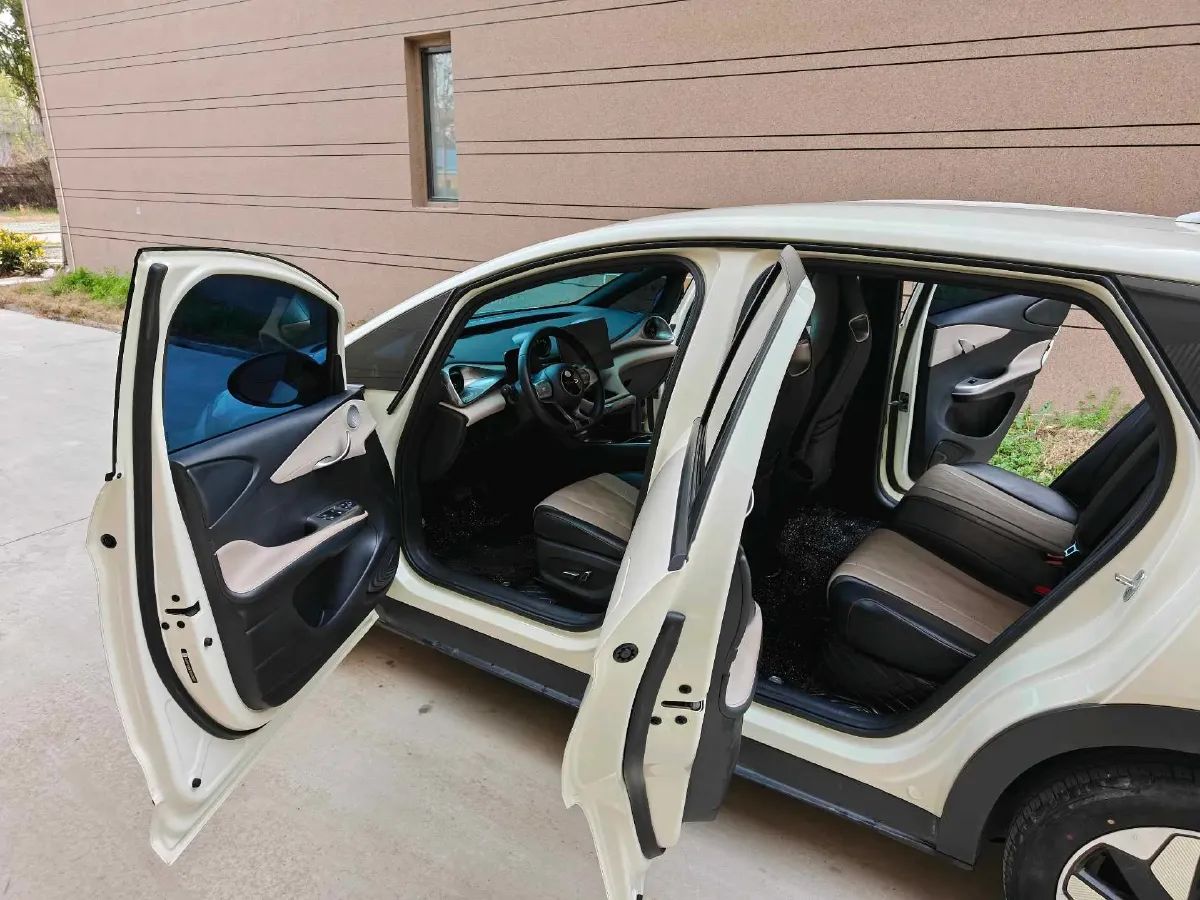 2025 BYD Dolphin BEV 44.928KWH,autocango,china used car exporter,china ev exporter,chinese used car exporter,chinese used ev exporter