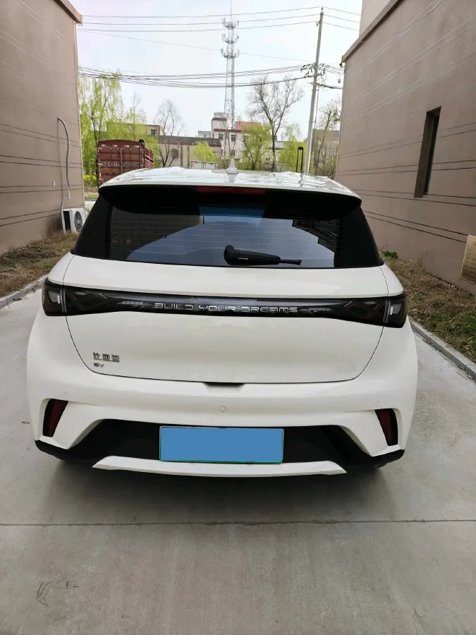 2025 BYD Dolphin BEV 44.928KWH,autocango,china used car exporter,china ev exporter,chinese used car exporter,chinese used ev exporter