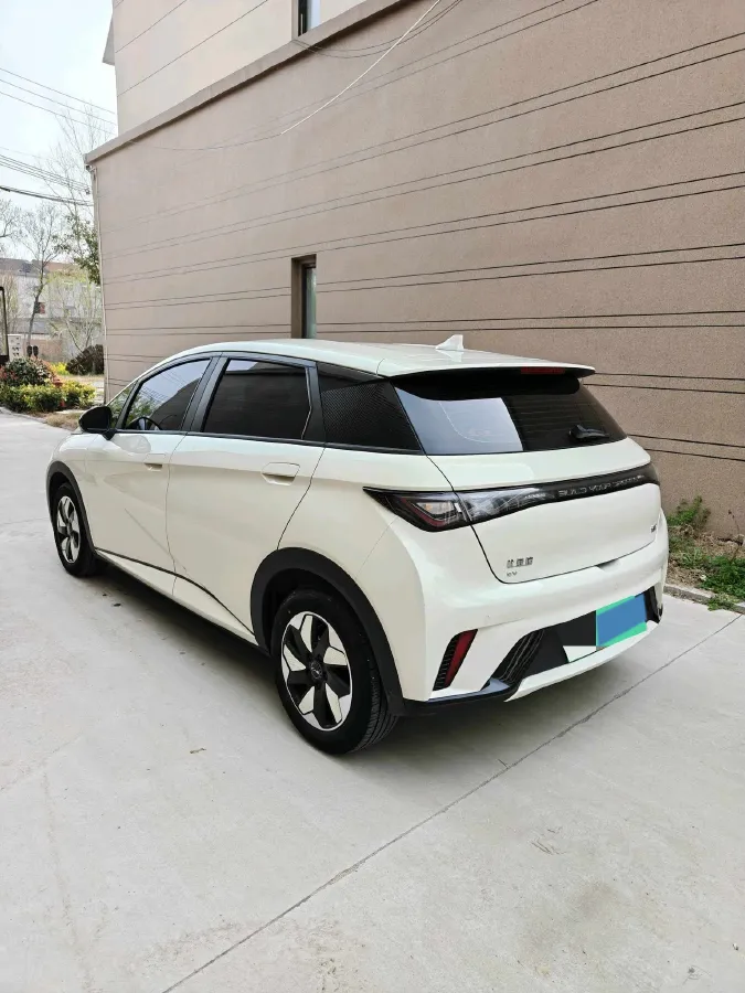 2025 BYD Dolphin BEV 44.928KWH,autocango,china used car exporter,china ev exporter,chinese used car exporter,chinese used ev exporter